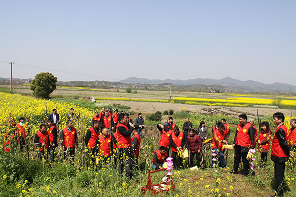 2019年清明宗亲在三世祖墓地前祭拜-横溪宋氏