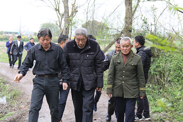 2019年清明宗亲前往一世祖墓地祭拜-横溪宋氏
